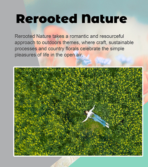 03-Rerooted Nature
